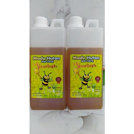 

mari hutan liar murni 100 persen