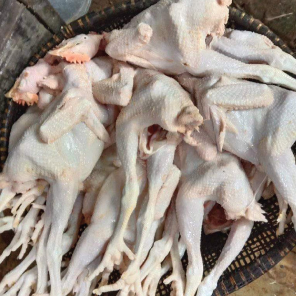 

Ayam pejantan/Ayam kalasan ukuran 8ons hidup (fresh)