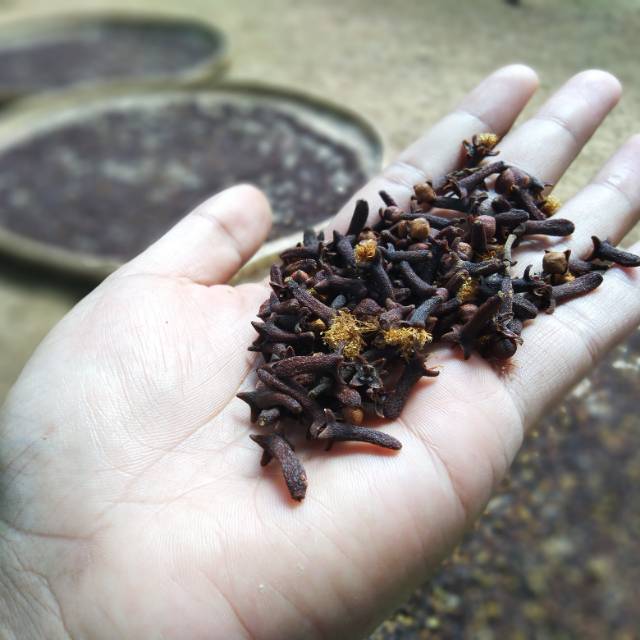 

Cengkeh Cengkih kering 250gr Baru petik