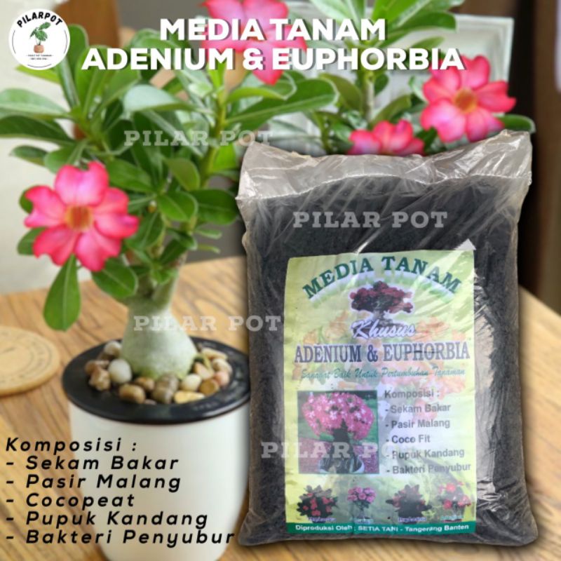 MEDIA TANAM ORGANIK KHUSUS ADENIUM EUPHORBIA SIAP PAKAI - ADENIUM EUPHORBIA