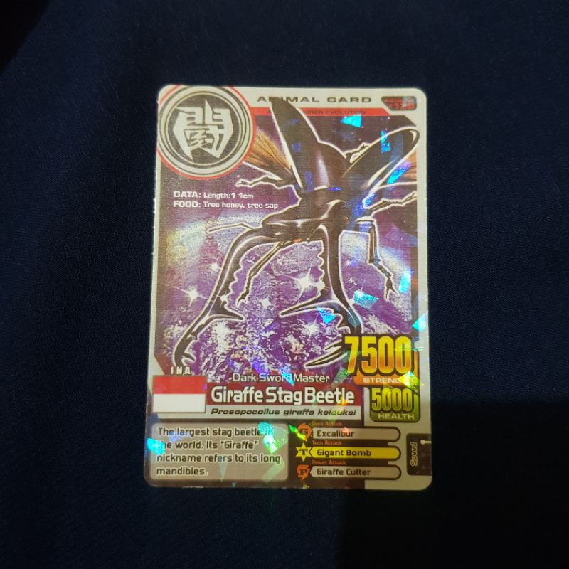 Jual Animal Kaiser : Giraffe Stag Beetle [RARE] [LANGKA] [ORIGINAL