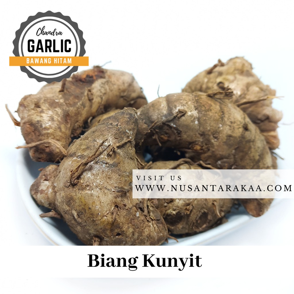 

Promo Biang kunyit / kunyit biang 1kg