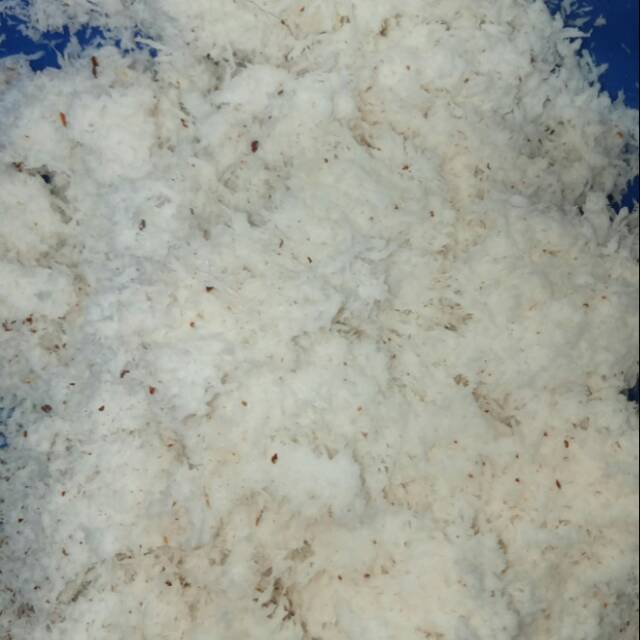 

Kelapa parut segar / 1 buah
