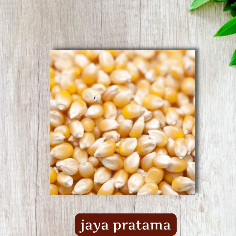 

JAGUNG POP CORN 500 gram GRAM PREMIUM QUALITY