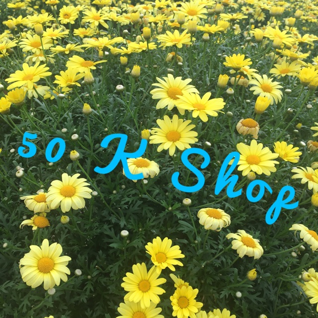 50k.shop