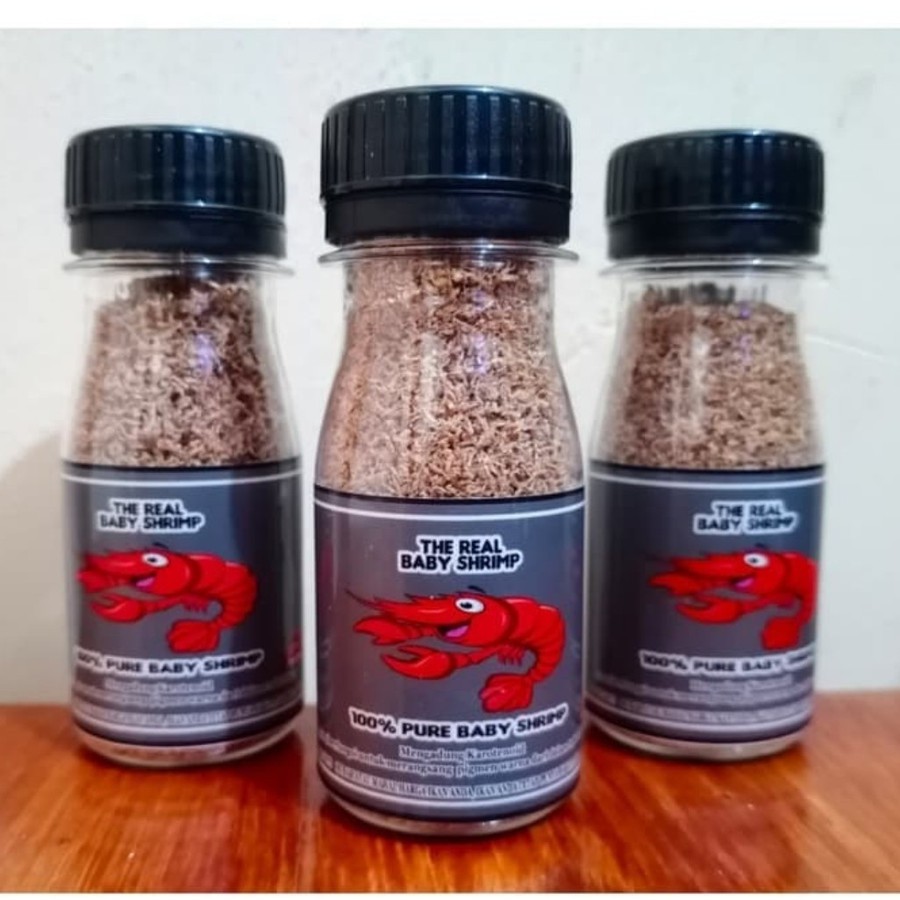 The real baby shrimp / pakan cupang baby shrimp