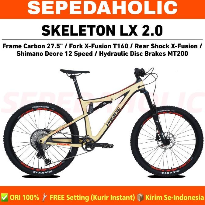 SEPEDA GUNUNG MTB PACIFIC SKELETON LX 2.0 CARBON 27.5 INCH 12 SPEED FDGDF34545