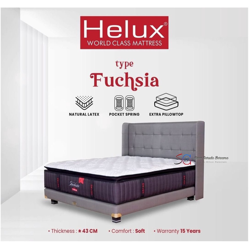 HELUX LATEX POCKET SPRING EXTRA PILLOWTOP KASUR SPRING BED EMPUK TEBAL 43 CM FUCHSIA