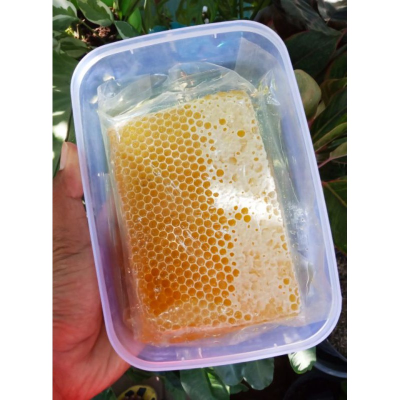 

Madu Sarang 500 gram