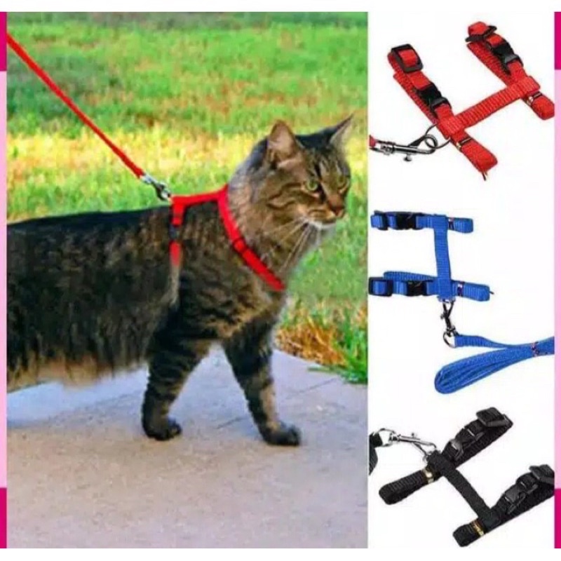 HARNESS KUCING || HARNESS H KUCING || HARNESS HEWAN