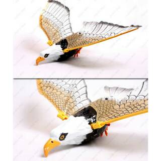 101+ Gambar Burung Elang Dari Kardus Gratis