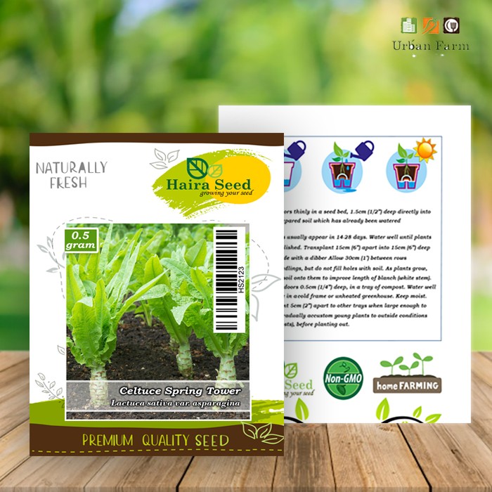 Benih-Bibit Selada Wangi Batang Besar Celtuce Spring Tower (Haira Seed