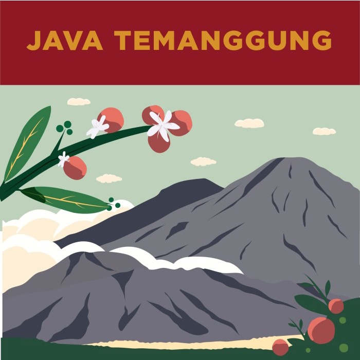 

MAKANAN & MINUMAN KOPI KOPI FINE ROBUSTA JAVA TEMANGGUNG BARON 250GR HR157