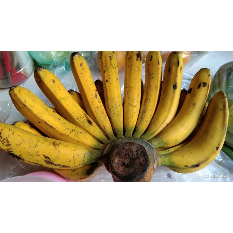 

PISANG BARANGAN MEDAN