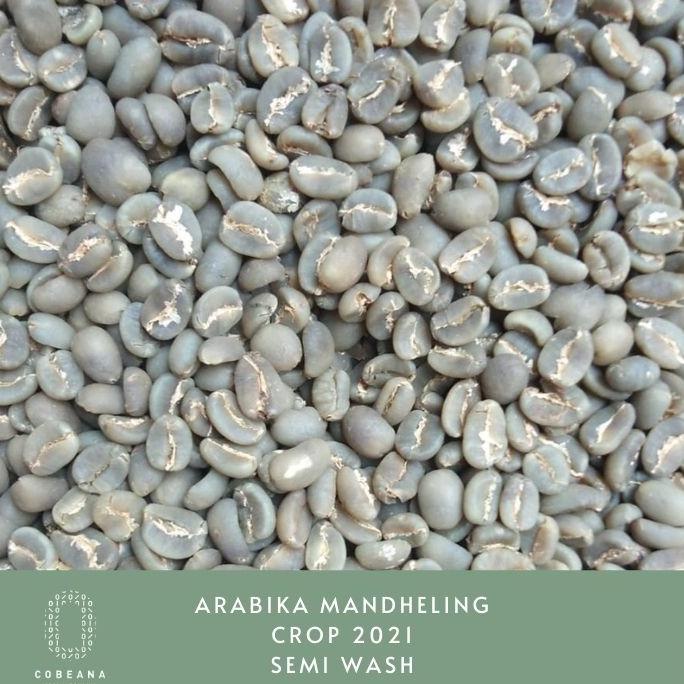 

Biji Kopi Arabika Mandheling 1kg Greenbean
