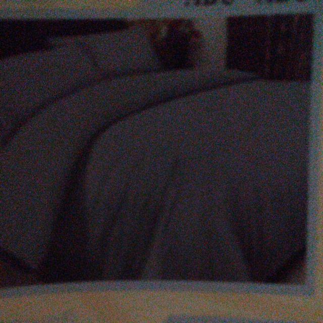 Sprei Rosewell 180 X200 X Tinggi 30/sprei Polos