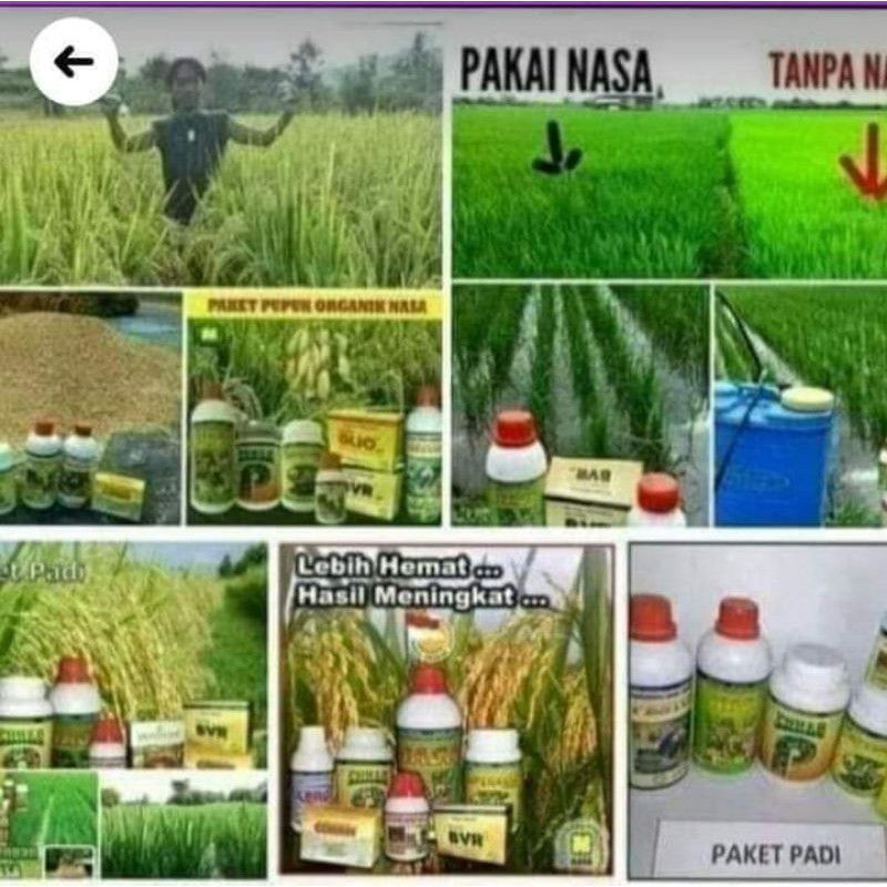 Paket hemat pupuk padi nasa untuk hasil padi lebih banyak/melimpah