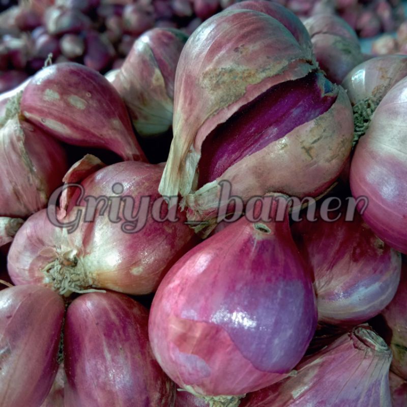 

Bawang Merah SUPER Besar