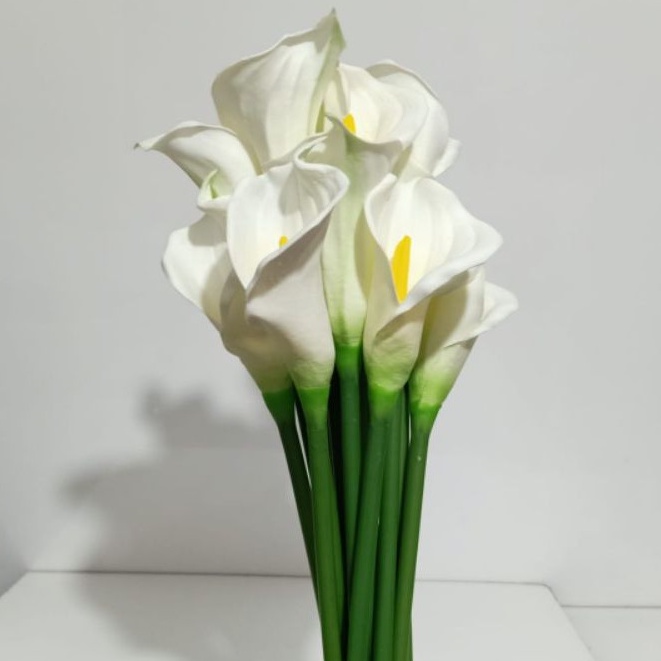 bunga calla lily jumbo premium