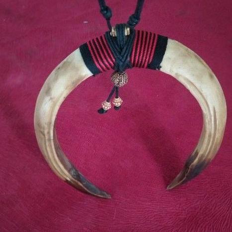 Paling Diminati.. Sepasang taring babi | sepasang kalung taring babi