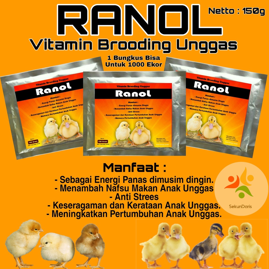 Vitamin Anak Ayam - RANOL BROODING - Obat Ayam Suplemen Ayam
