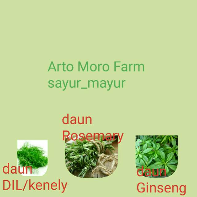 

Daun Rosemary, Daun Dil & Daun Ginseng