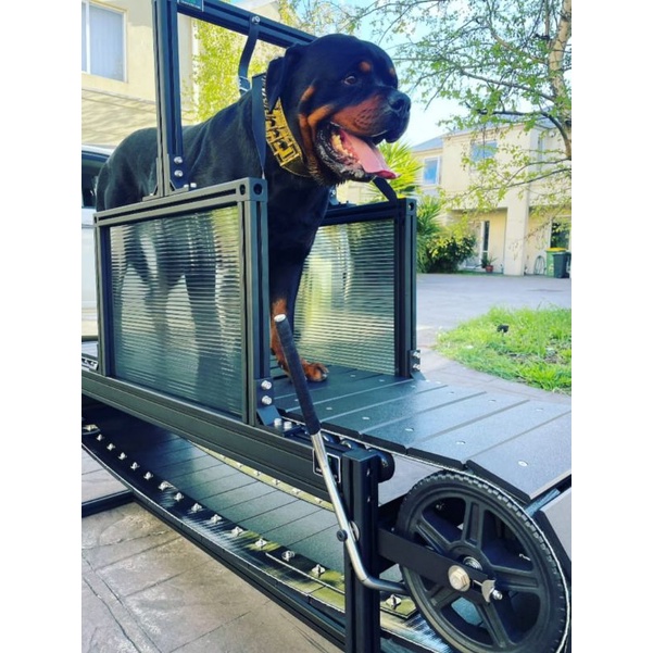 Dog Treadmil Alat Treadmil untuk anjing ukuran kecil dan medium