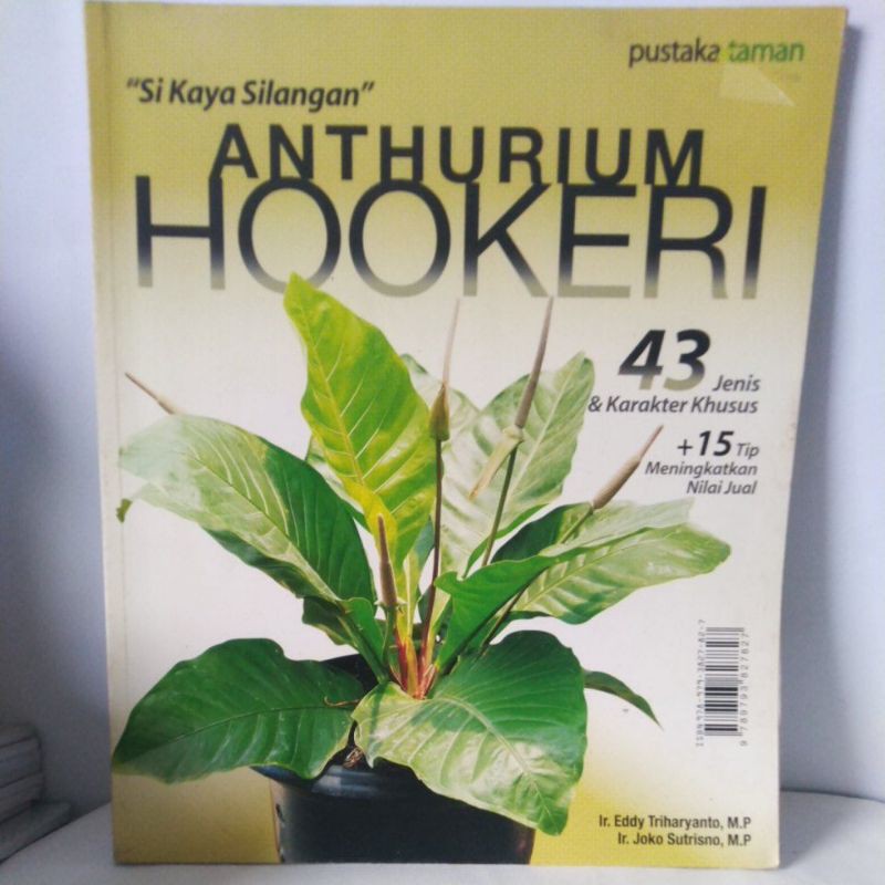 Buku Anthurium Hookeri