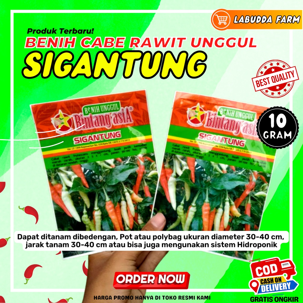 Bibit Cabe Sigantung 10gr Original Pabrik Bintang Asia Buah Lebat - Bibit Cabe Rawit Unggul - Bibit 