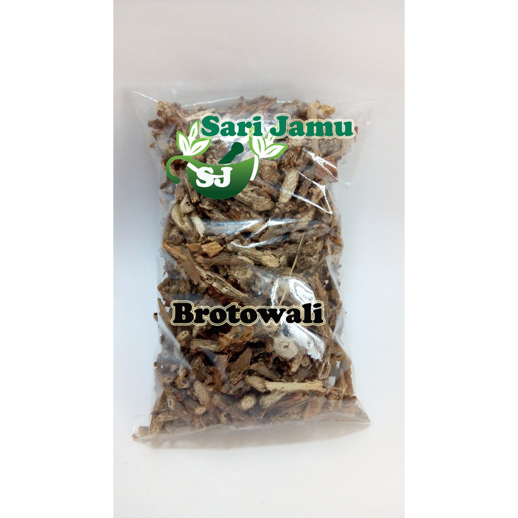 

Jamu Herbal Tradisional Brotowali Untuk Mengobati Diabetes 250Gr