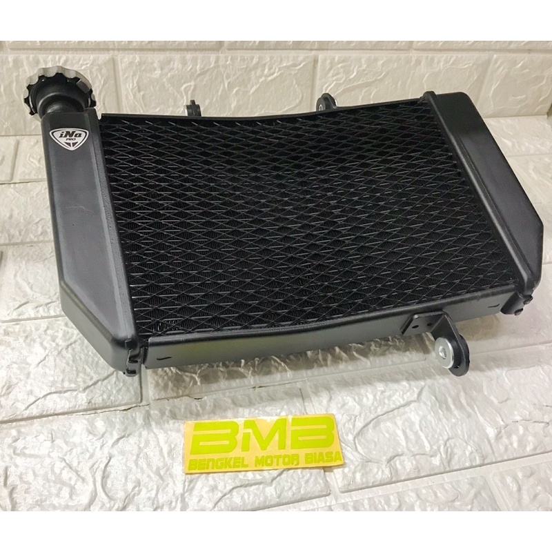 Radiator Racing Inapro LC Mxking Ninja r