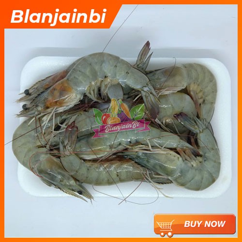 

Udang ukuran Besar Bandung Area