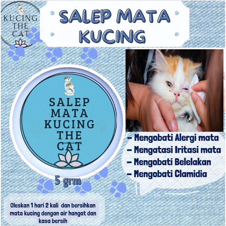 Salep The Cat Obat Mata Kucing Clamidia Salep Mata Kucing Ampuh Kitten dan Adult