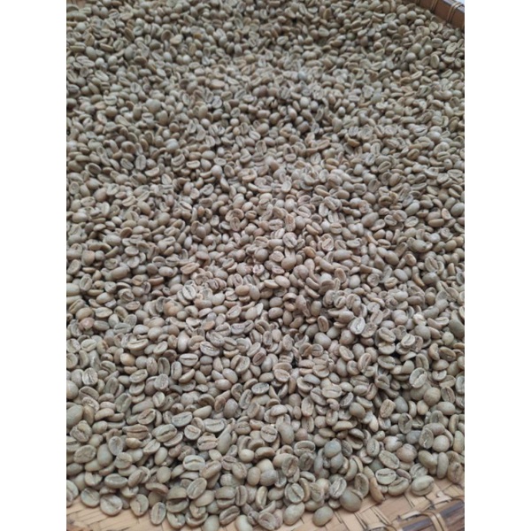 

Green Bean Arabica Sapan - Asalan & Sortir, Panen 2019/2020 (1 kg)