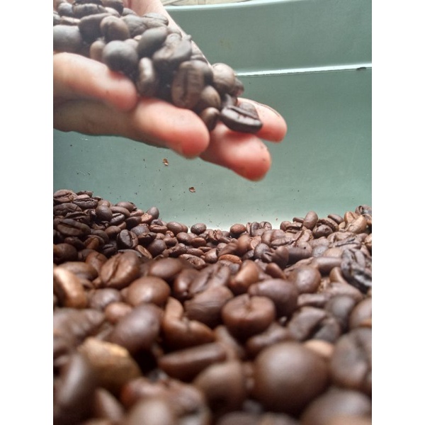 

ROASTED BEAN ROBUSTA GAYO 250gr by GreenCoffeeConspiracy