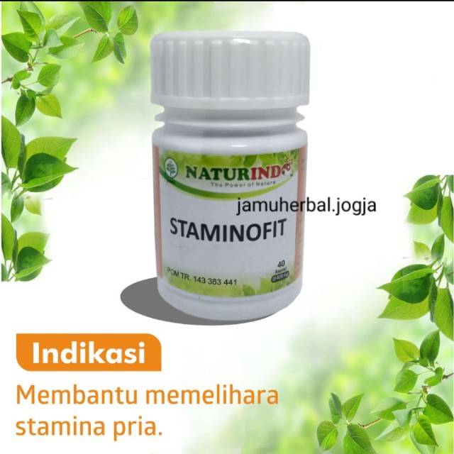 STAMINOFIT OBAT STAMINA PRIA NATURINDO