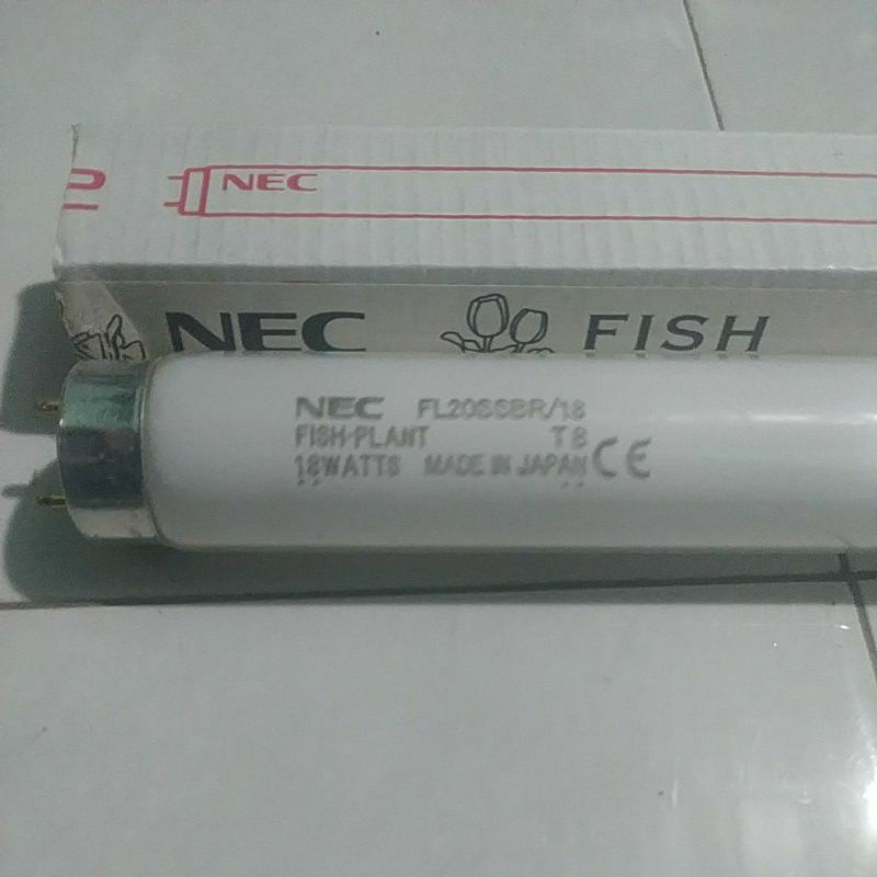 LAMPU TFC  LAMPU KONTES LOUHAN- ARWANA