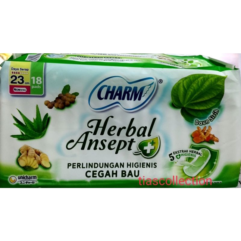 Charm Herbal Ansept Non Wing 18 pads