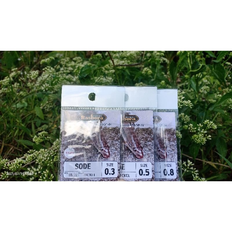 kail pancing Rasbora sode dan akita kitsune