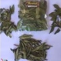 

Daun Kari / Salam koja / Temurul Aceh kering 550 gram