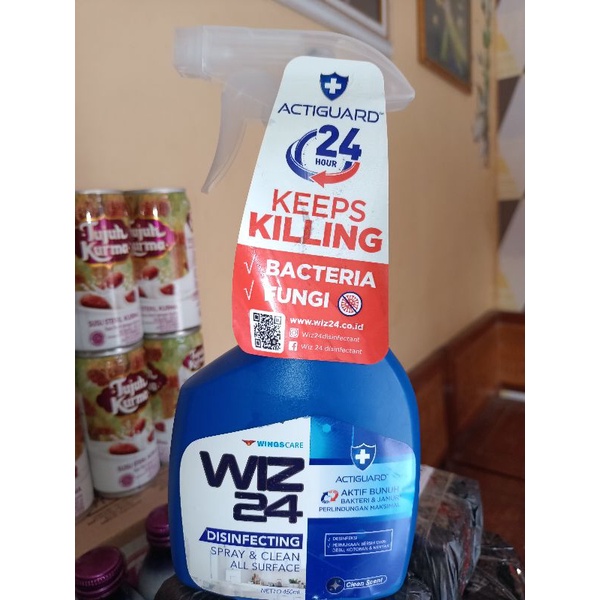 DISINFECTING WIZ 24