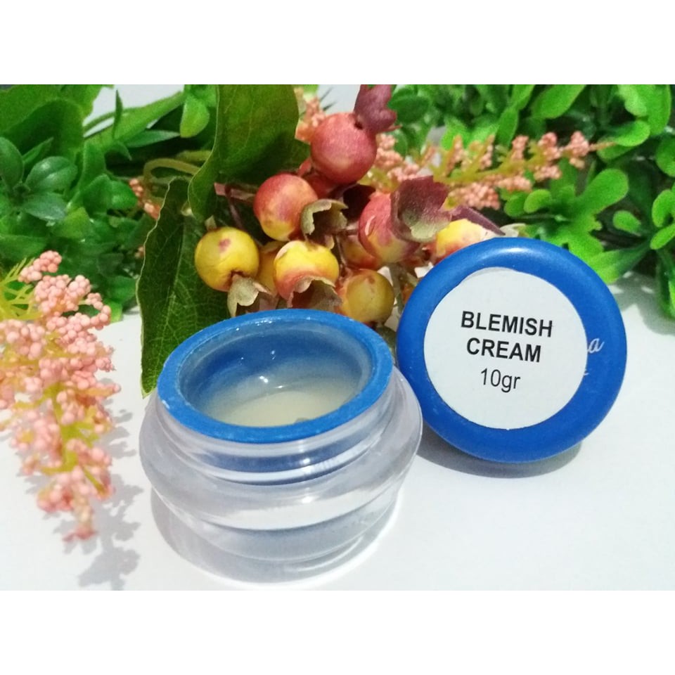 Blemish Cream Beauty Rossa/Cream Malam Jerawat Sensitif Beauty Rossa