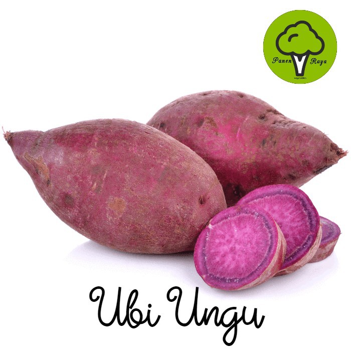 

UBI UNGU [1KG]