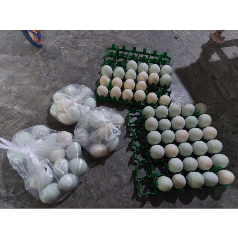 

TELUR BEBEK MENTAH