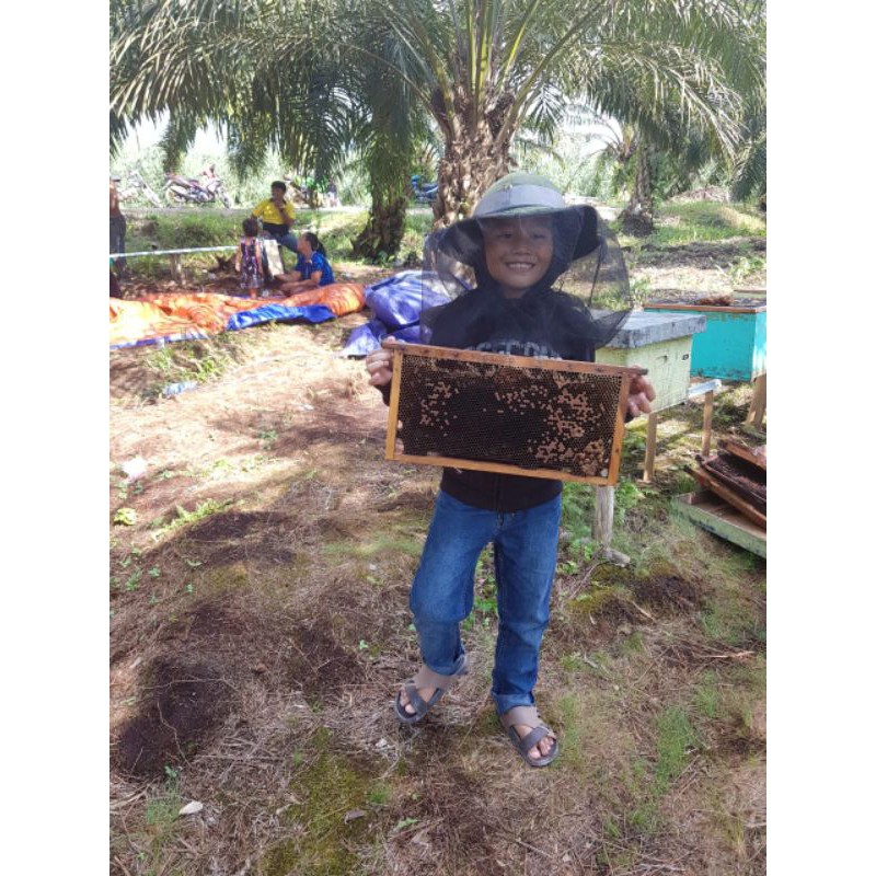 

MADU AKASIA JAMBI