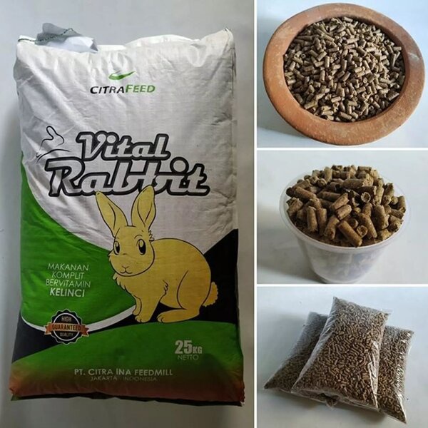 Makanan Kelinci Vital Rabbit 25 kg Pakan Pelet Pellet Rabit Premium