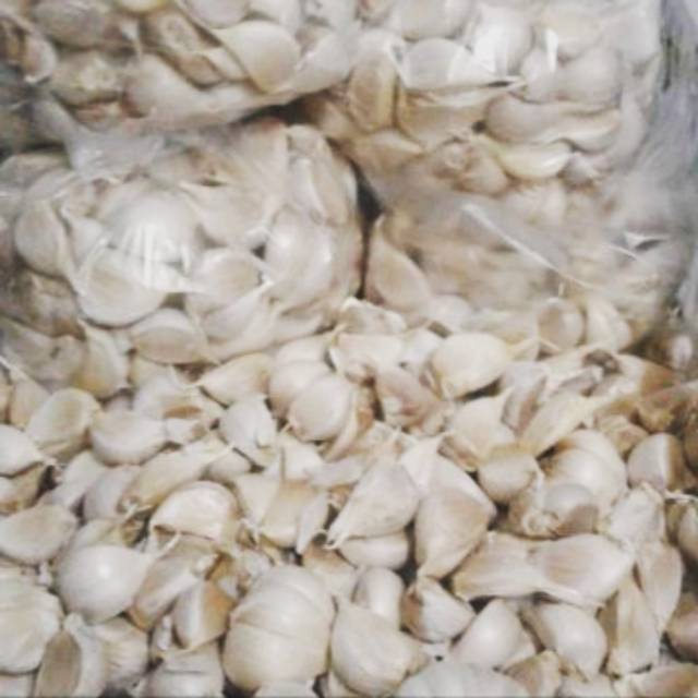 

Bawang Putih Kating Pretelan 1kg