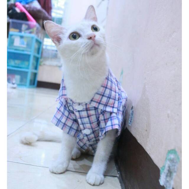 Kemeja kotak-kotak biru putih lucu untuk kucing dan anjing size S M L XL