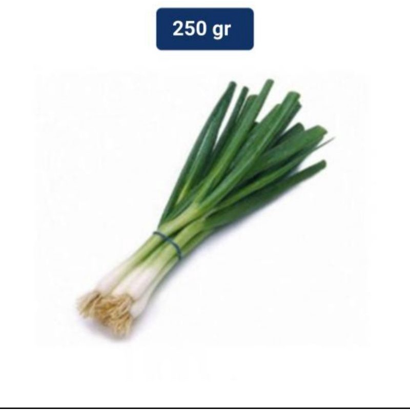 

DAUN BAWANG BESAR 250 GRAM