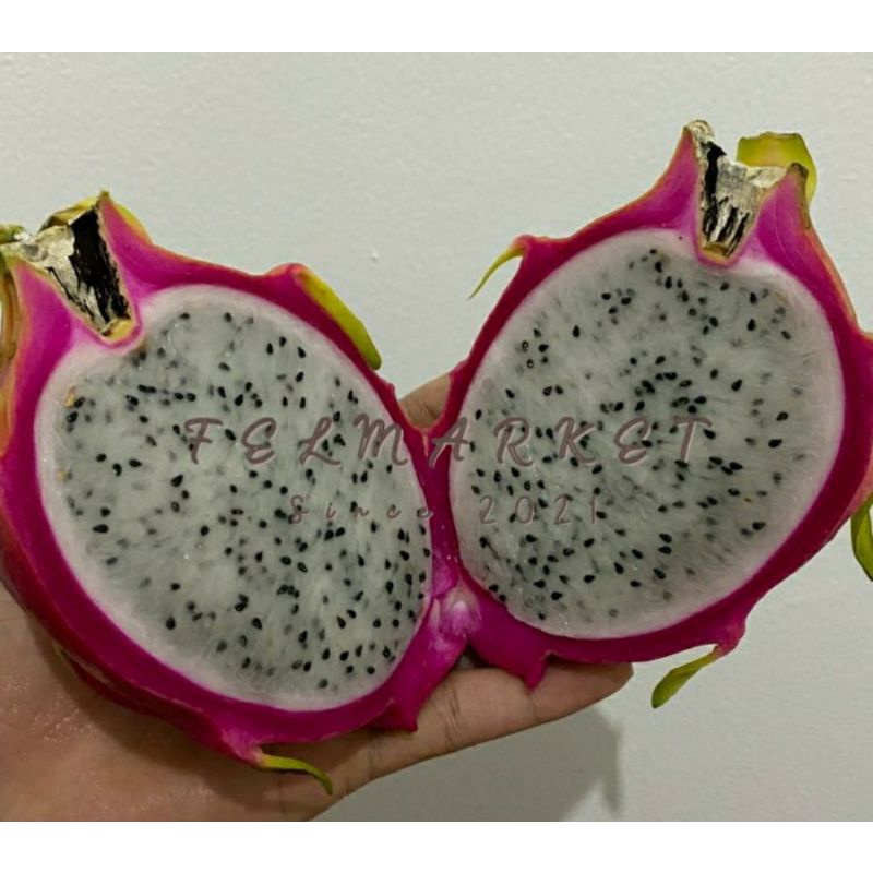 

Buah naga putih | dragon white fruit | 1 kg